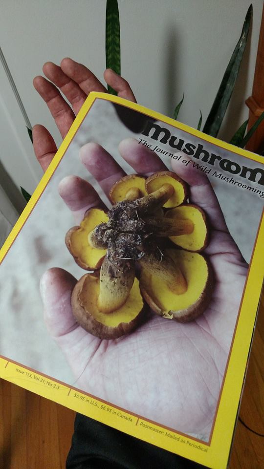 MushroomJournal