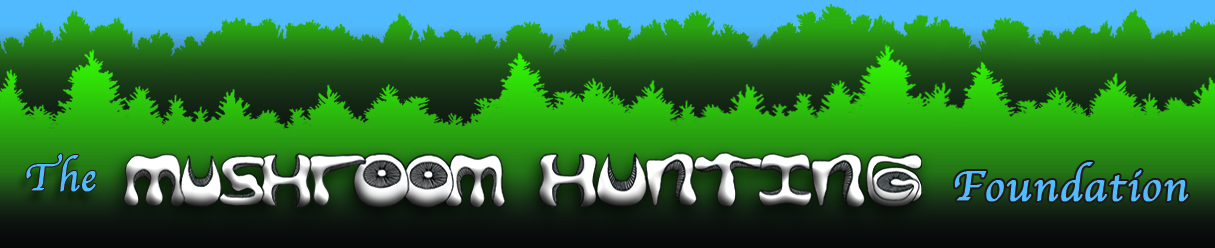 Mushroom Hunting Foundation